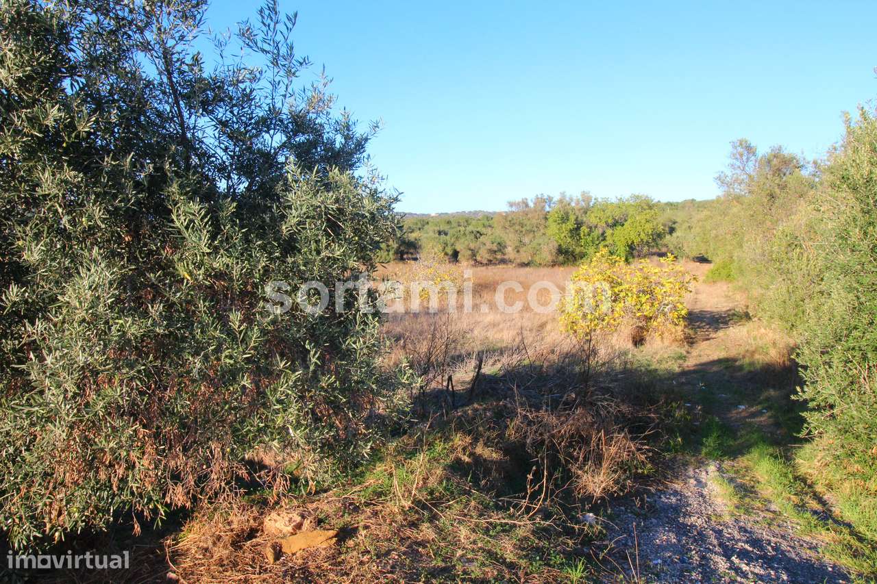 Terreno Para Construção  Venda em Boliqueime,Loulé - Grande imagem: 3/11