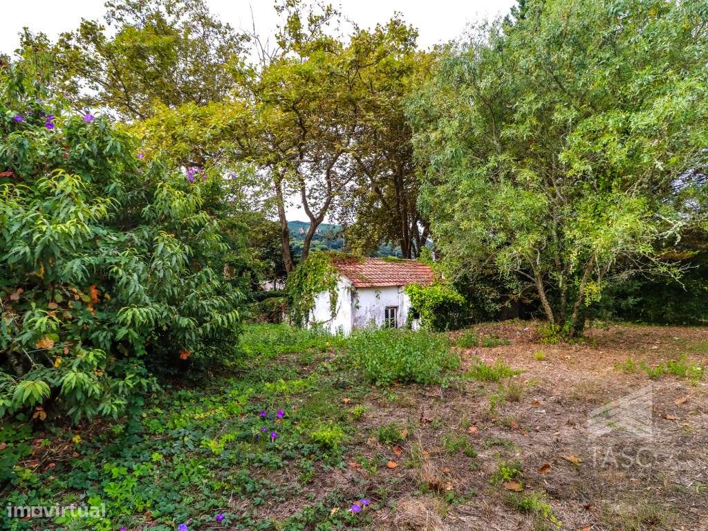 Moradia para reconstrução em Colares - Grande imagem: 5/20