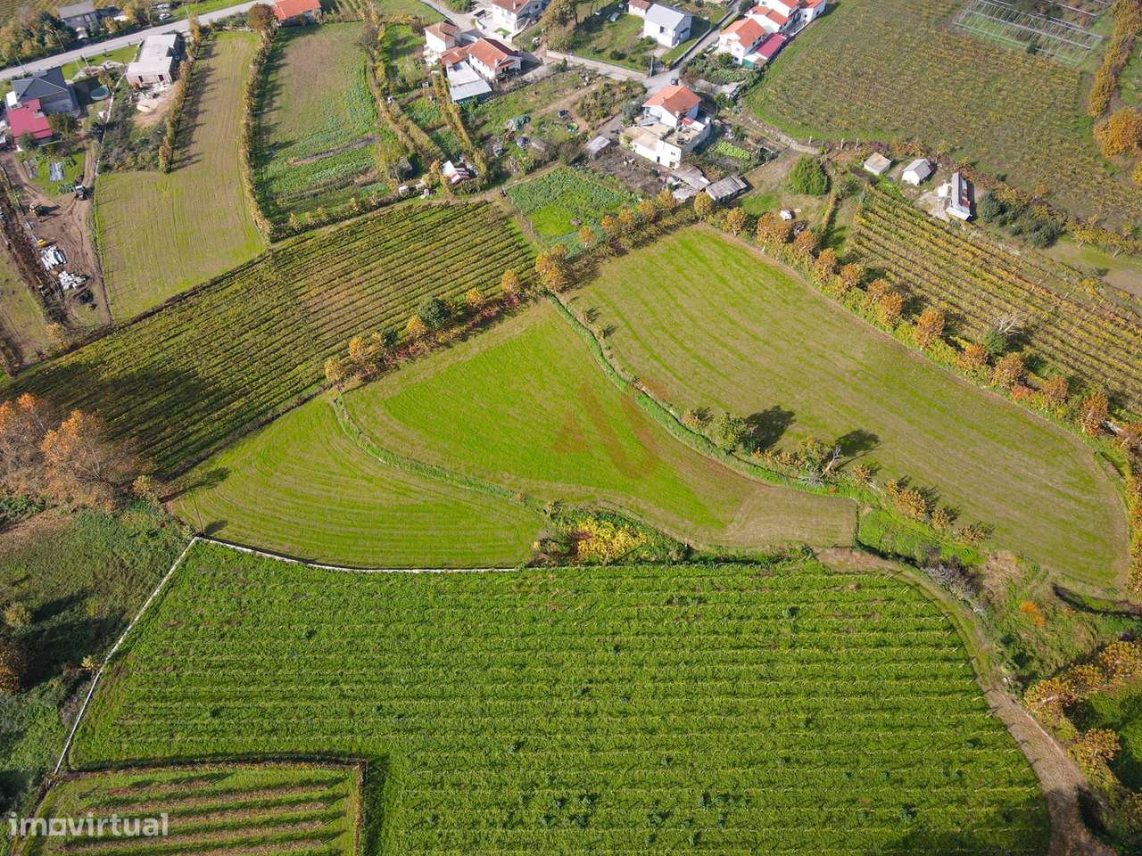 Terrenos Agrícolas com 13.513 m² em Pedreira, Rande e Sernande, Felgue - Grande imagem: 4/4