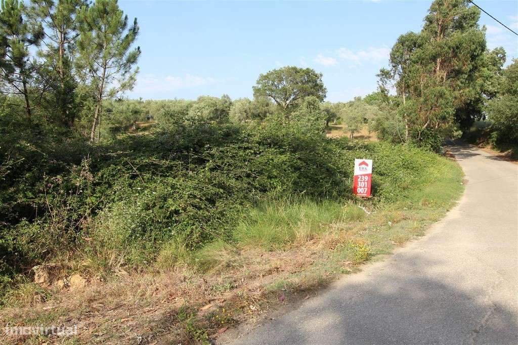 Terreno Para Construção, Soure, Soure - Grande imagem: 3/5