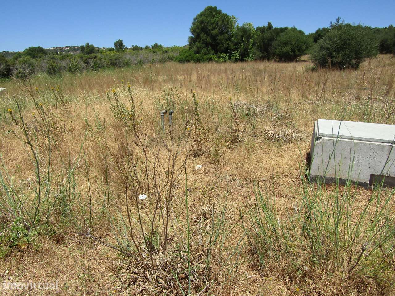 Terreno Rústico - Grande imagem: 4/8