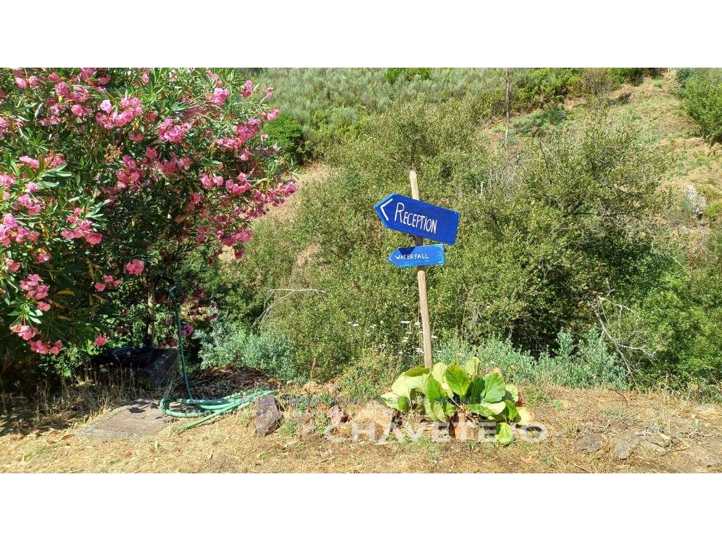 Encantador Turismo Rural em Figueiró dos Vinhos-39