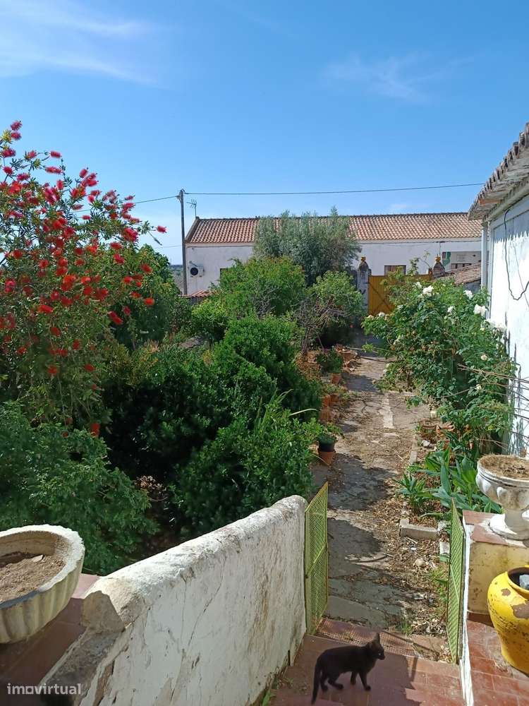 MORADIA DE ALDEIA "antiga morada de lavrador" em ALCARIA DA SERRA-44