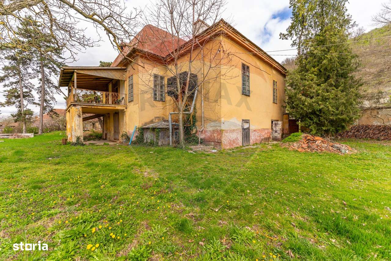 Conac aristocratic secolul XIX , domeniu  2,5 hectare — Păuliș, Arad-4