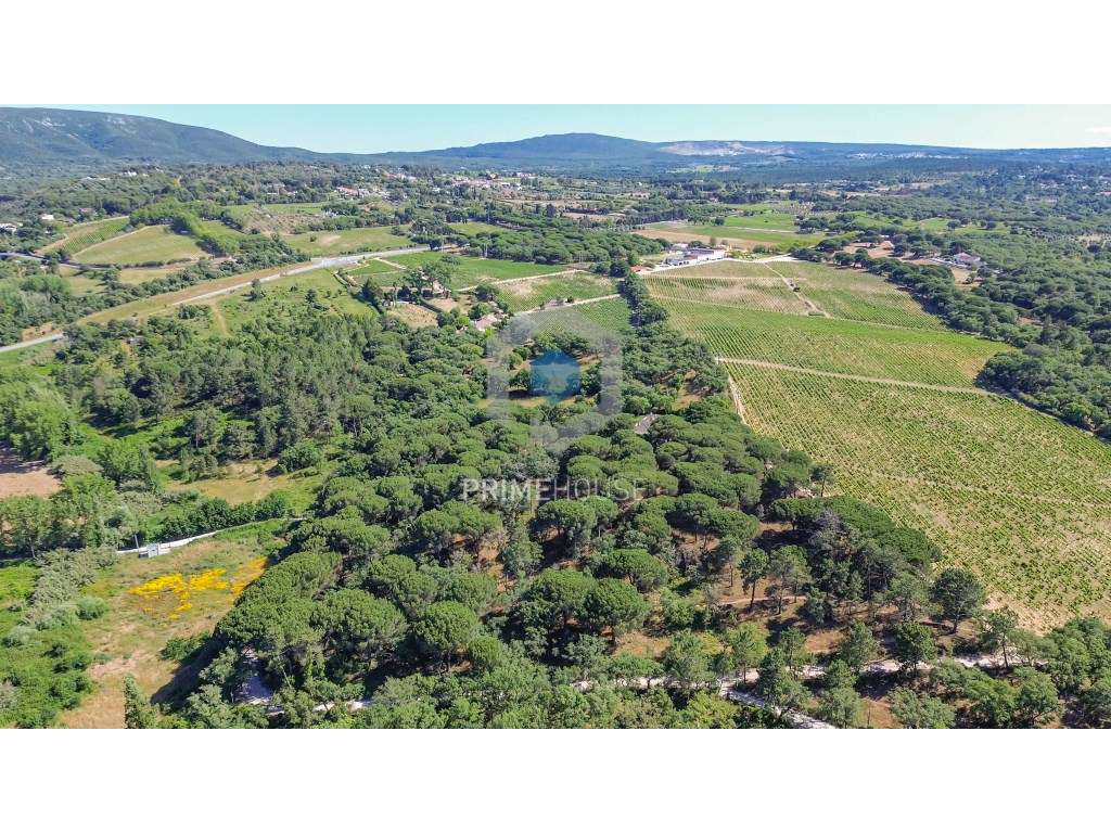 Terreno com 28 391 m2, situado nos Canais, Azeitão, entre o Parque ... - Grande imagem: 2/27