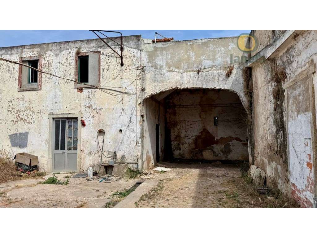 Armazém com logradouro e estacionamento - Grande imagem: 4/16