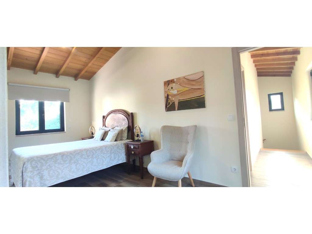 Quinta com duas moradias, anexos, diversas arvores de fruto, vinha ...-36