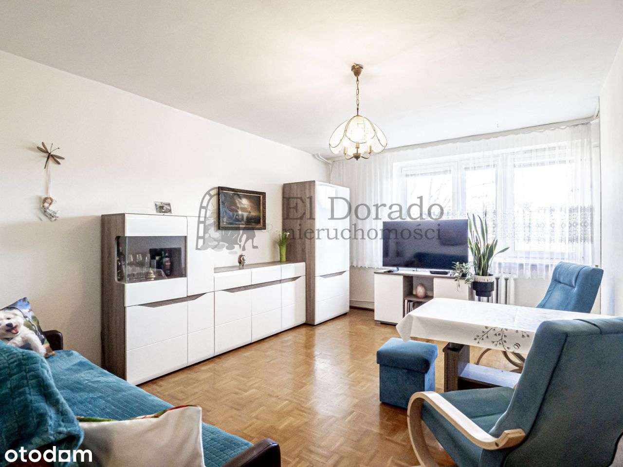 Przestronne mieszkanie z przepieknym balokem wśród-0