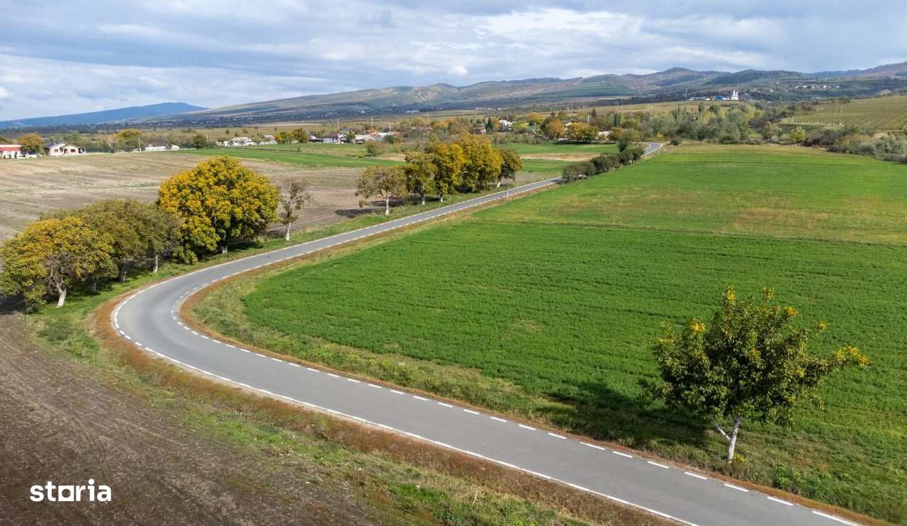 Teren Carligele - Imagine principală: 1/4