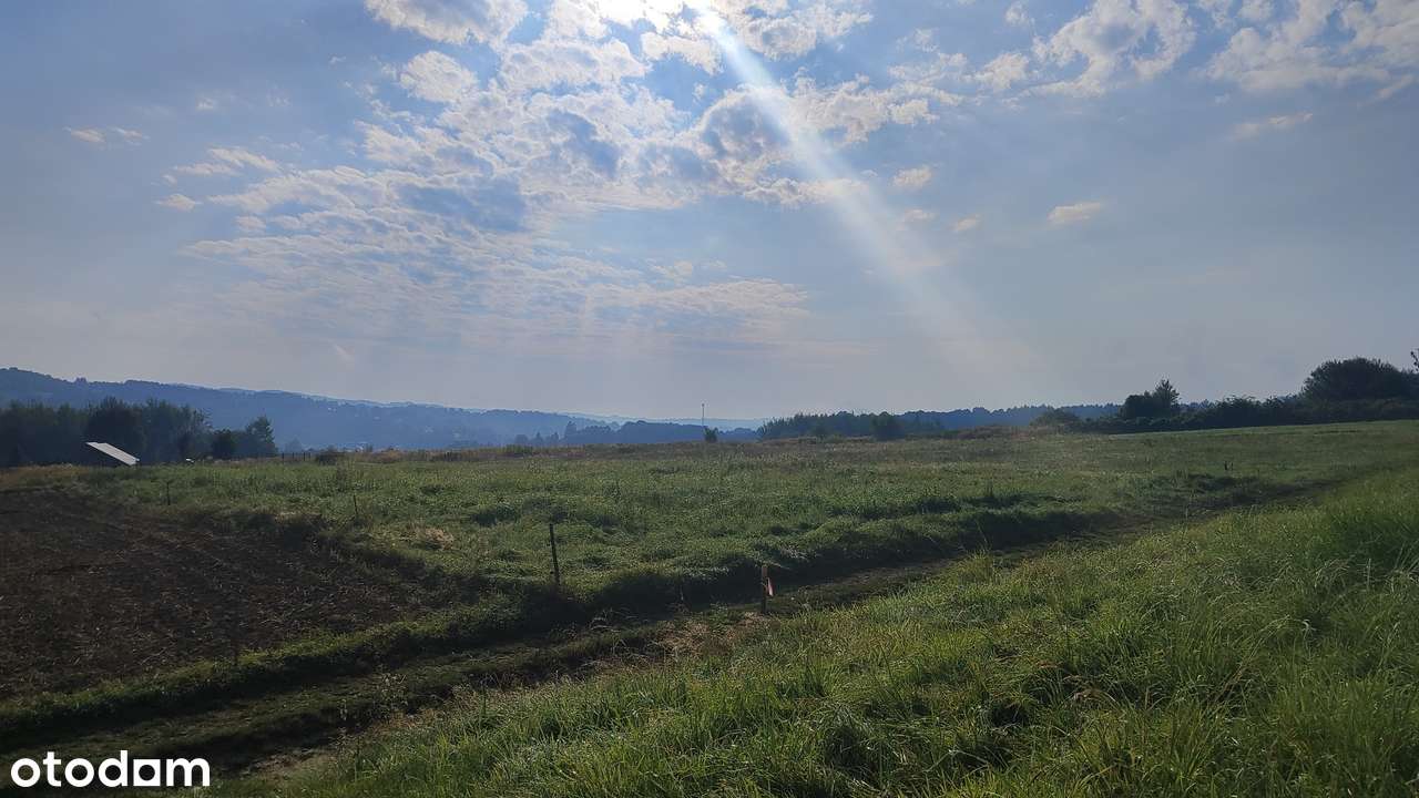 Działka z WZ Domaradz pow. 15a - Pełny obrazek: 3/3