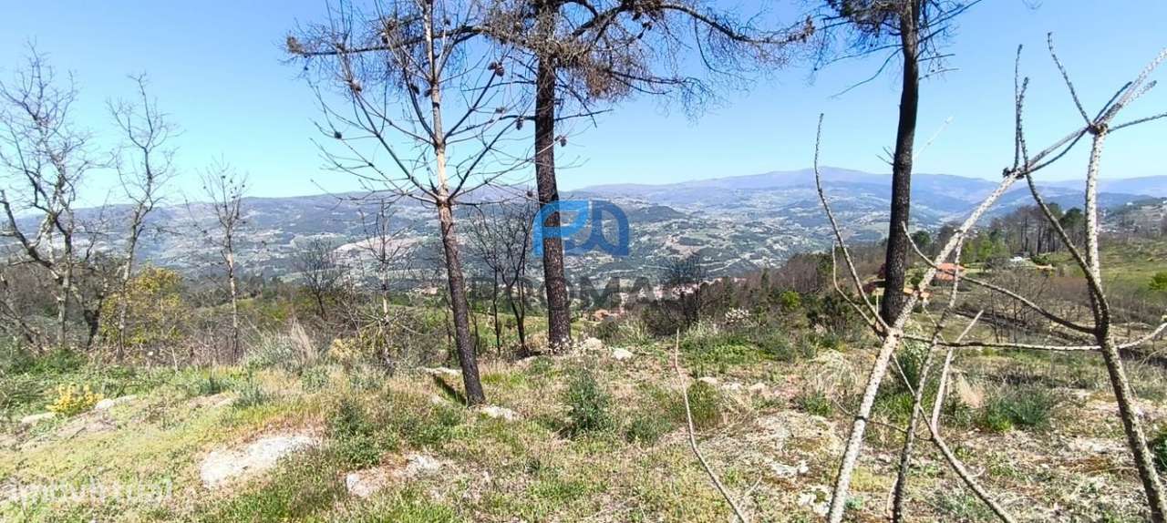 Quinta com 3 artigos urbanos, piscina e 9,4 ha em Resende-52