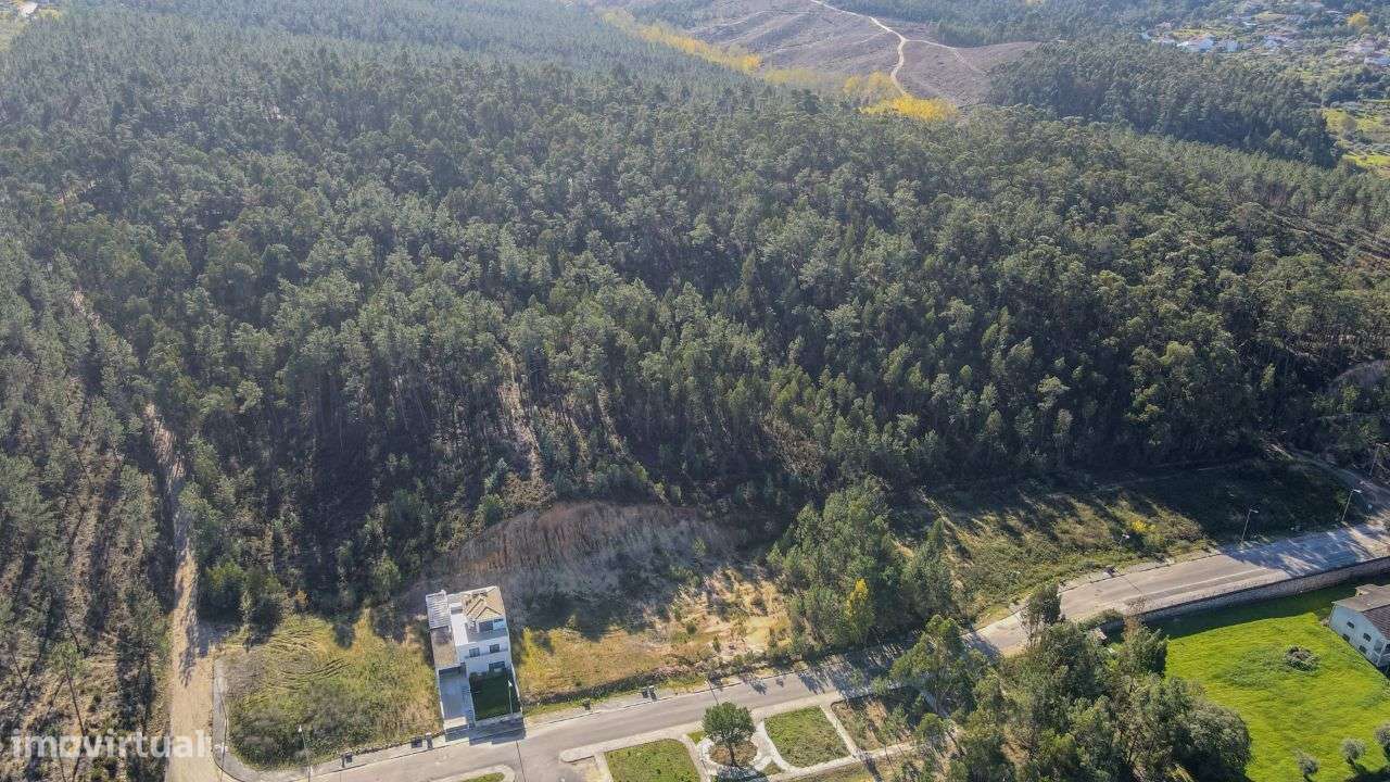 Terreno Rústico localizado na periferia de Ourém! - Grande imagem: 2/11