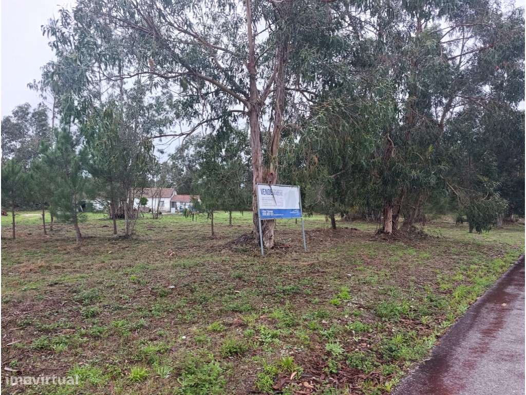 Terreno - Grande imagem: 3/16
