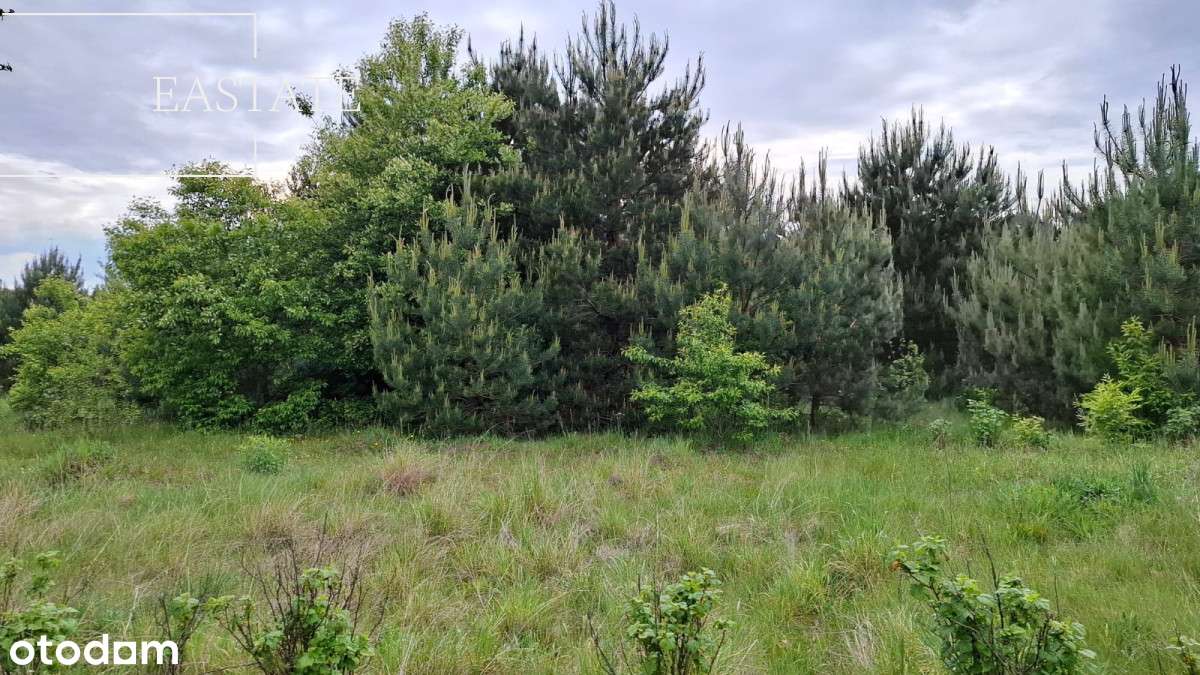 Budowlana, 10 km od Siedlec, media w drodze - Pełny obrazek: 5/11