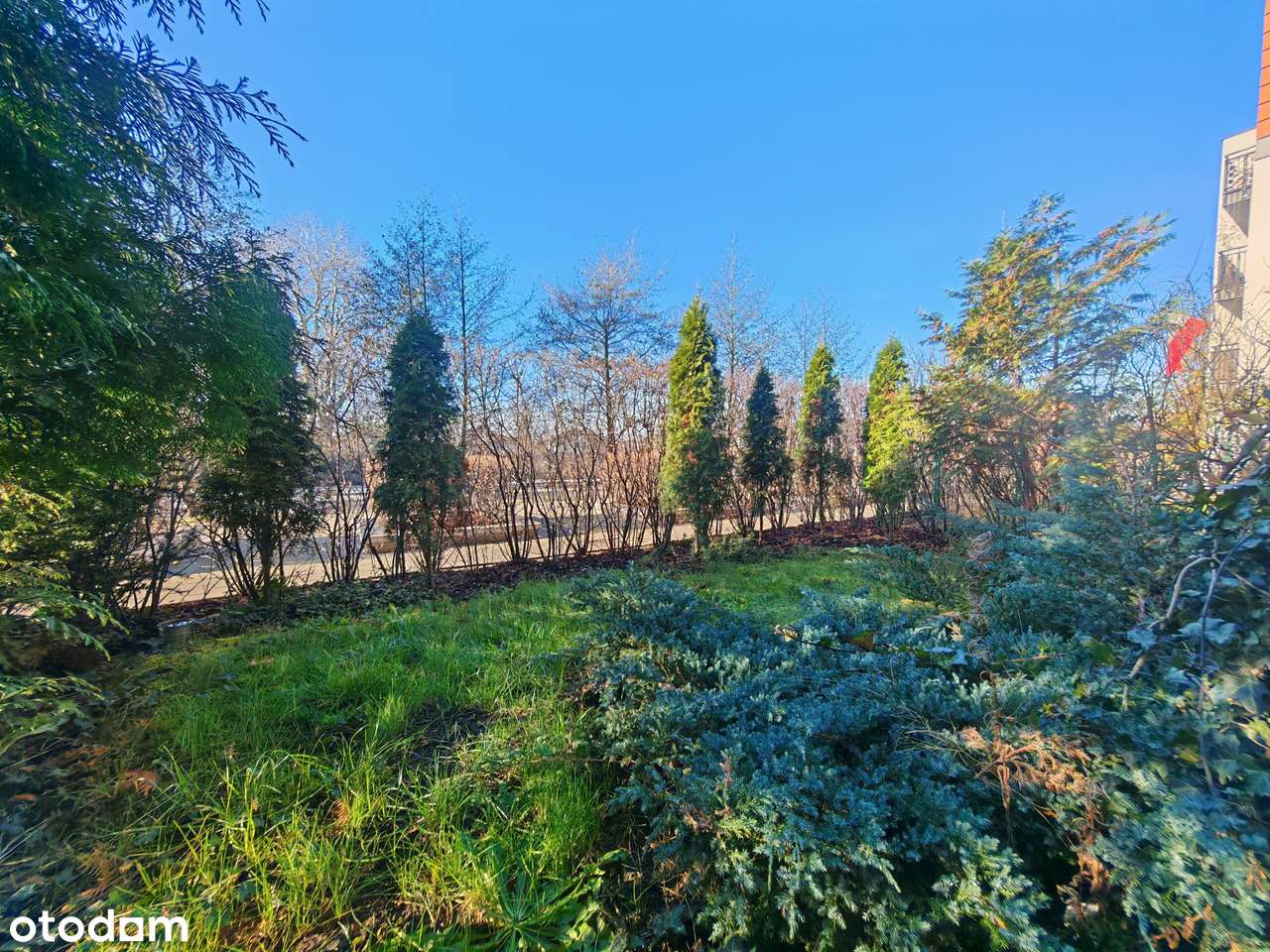 Dostępne od ręki , z dwoma ogrodami-13