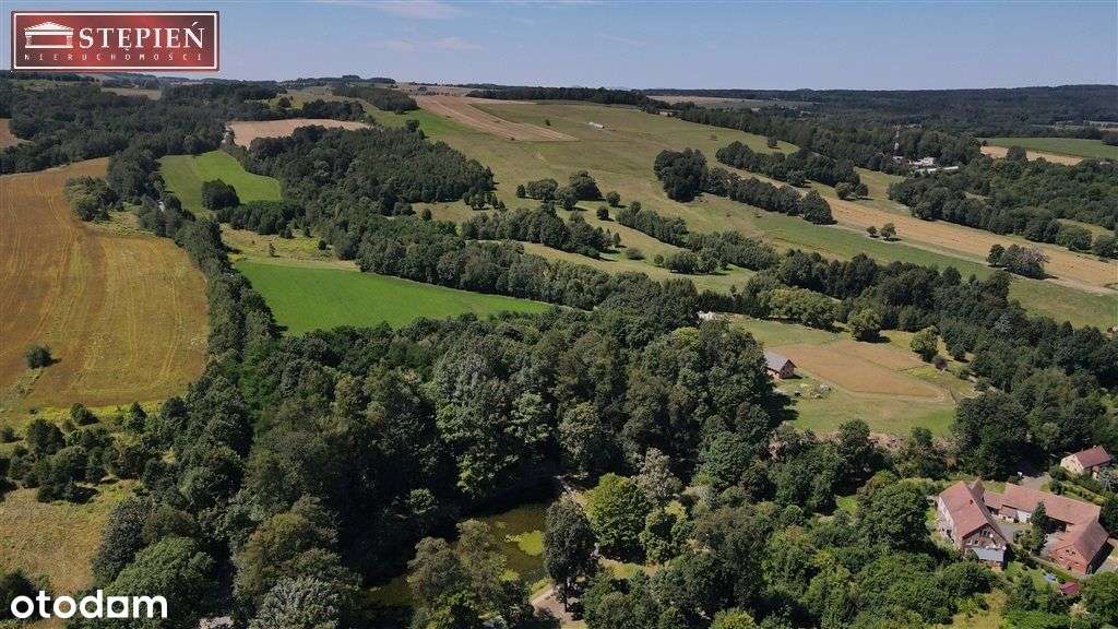 Działka, 2 400 m², Smolnik - Pełny obrazek: 1/3