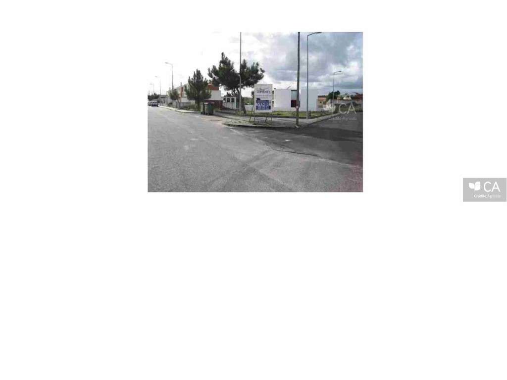 ID14516 - Grande imagem: 2/4