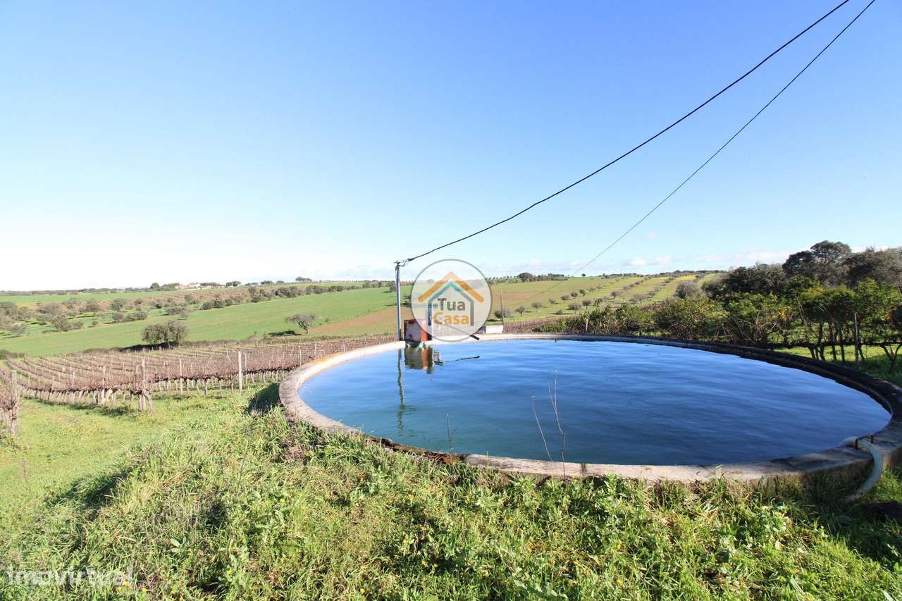 Terreno com Área de 43.750m2, Implantação Urbana até 500m2 e 36000m2 d - Grande imagem: 5/19