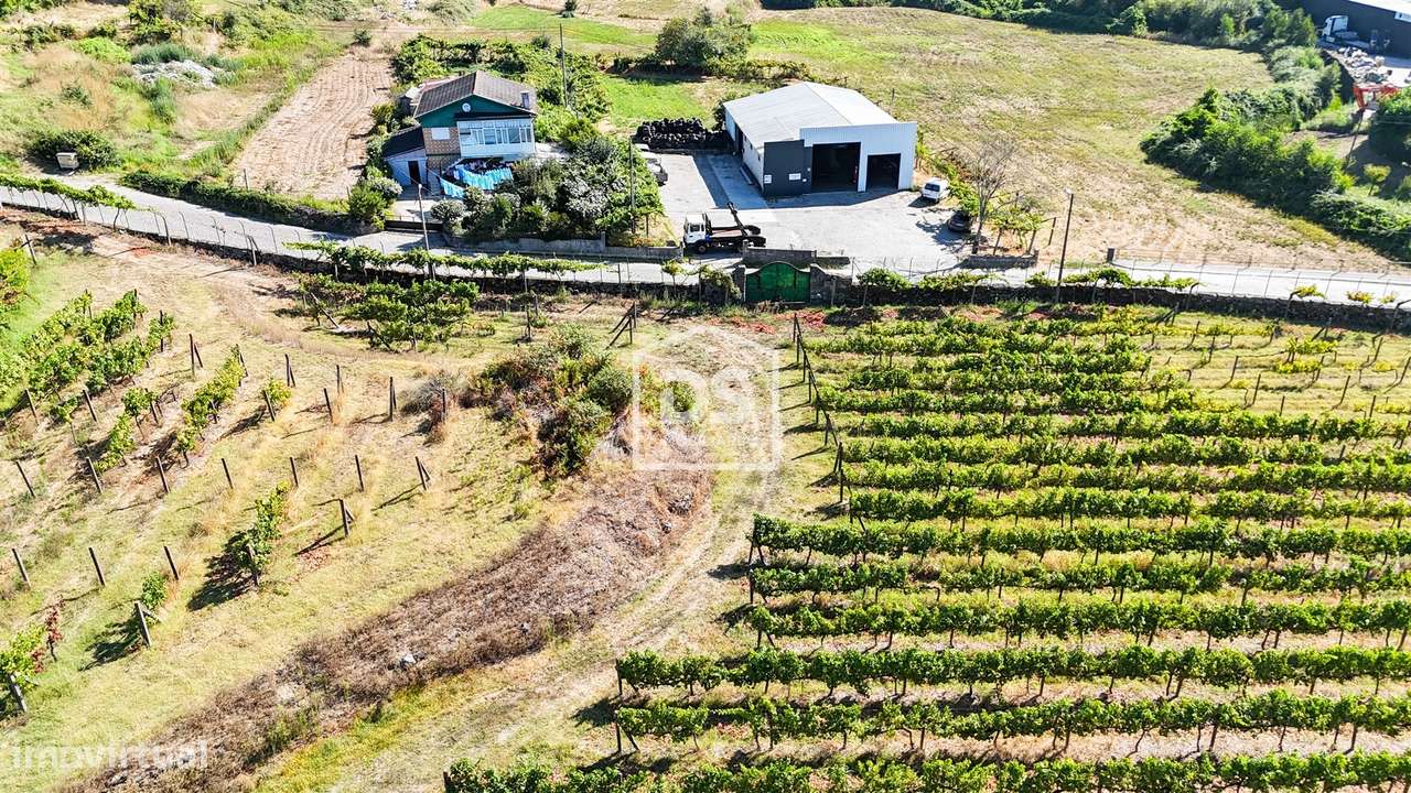 Quinta T9 Venda em Penafiel,Penafiel-10