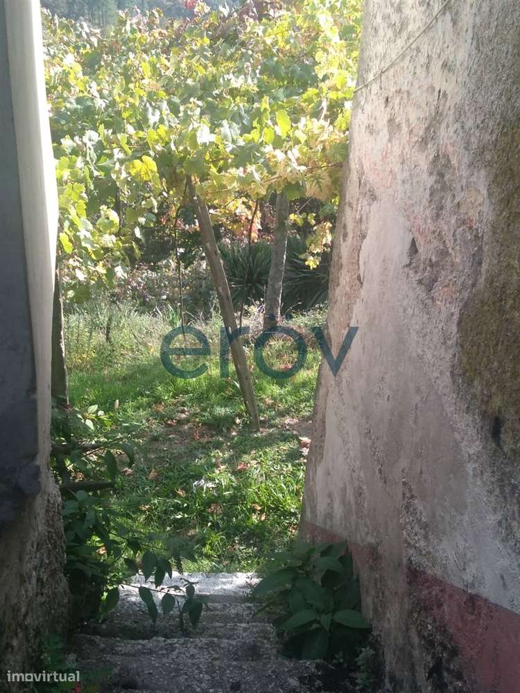 Quinta em Gémeos - Celorico de Basto - Grande imagem: 3/8