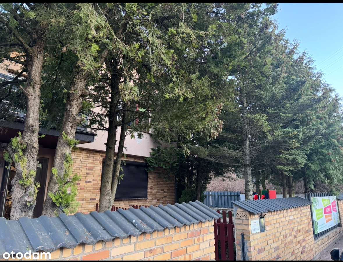 Dom 350m2 na wynajem – ul. Znanieckiego|ogród|garaż|parking bez strefy