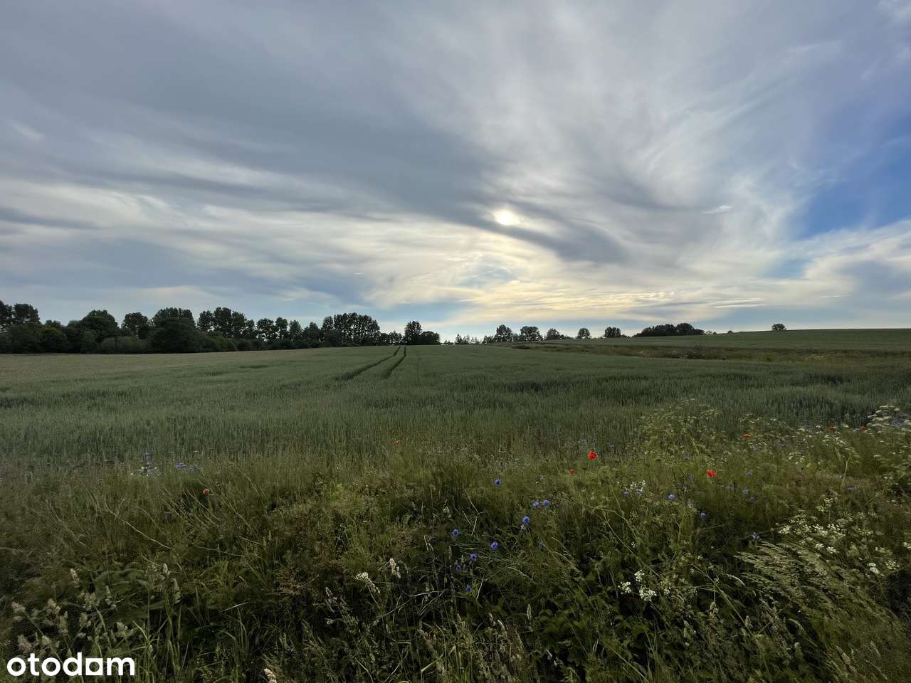 | Działka nad Zalewem Szczecińskim | 1,61 HA |-0