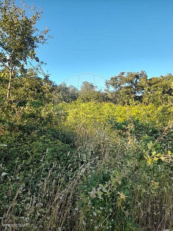 Terreno  para venda - Grande imagem: 4/6