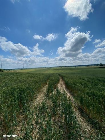 Grunt pod farmę fotowoltaiczną. Warunki zabudowy