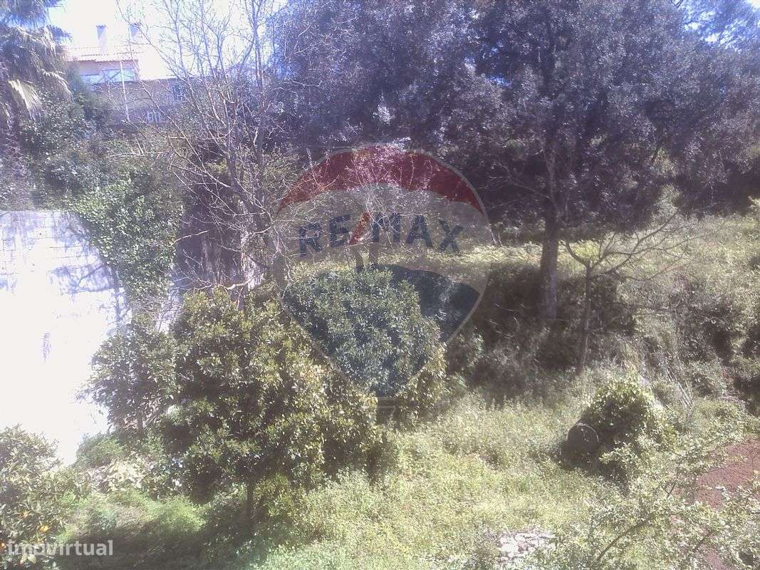 Terreno  para venda - Grande imagem: 3/13