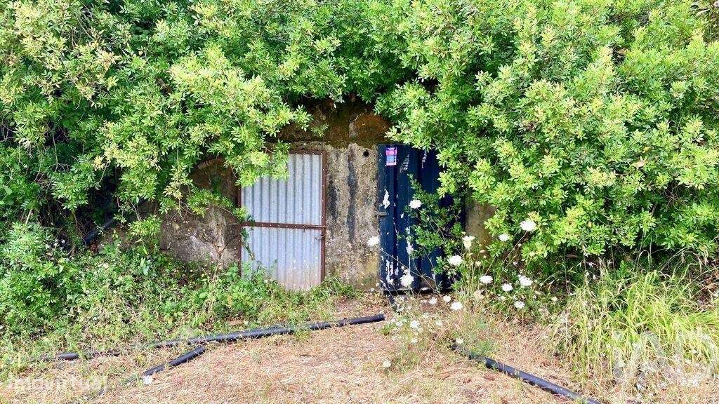 Terreno Agrícola em São Brás de Alportel - Grande imagem: 4/10