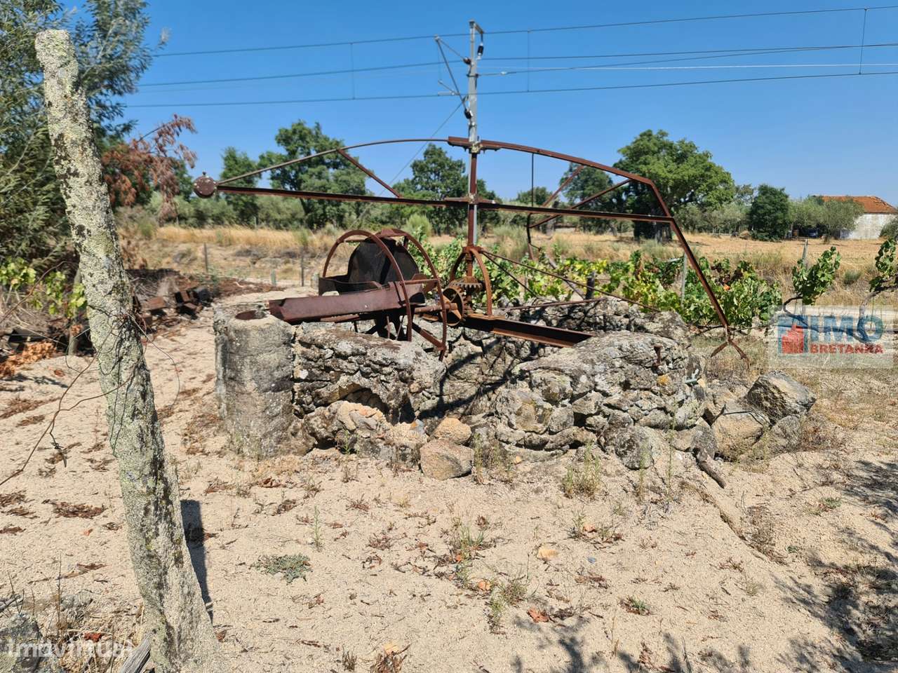 Quinta na Lardosa - Grande imagem: 3/12