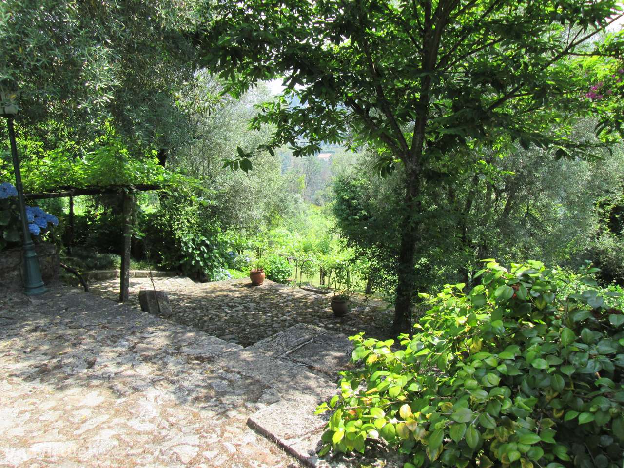 Quintinha no Minho Ponte de Lima * 10.000 m2 * a 90 Km do Porto-1