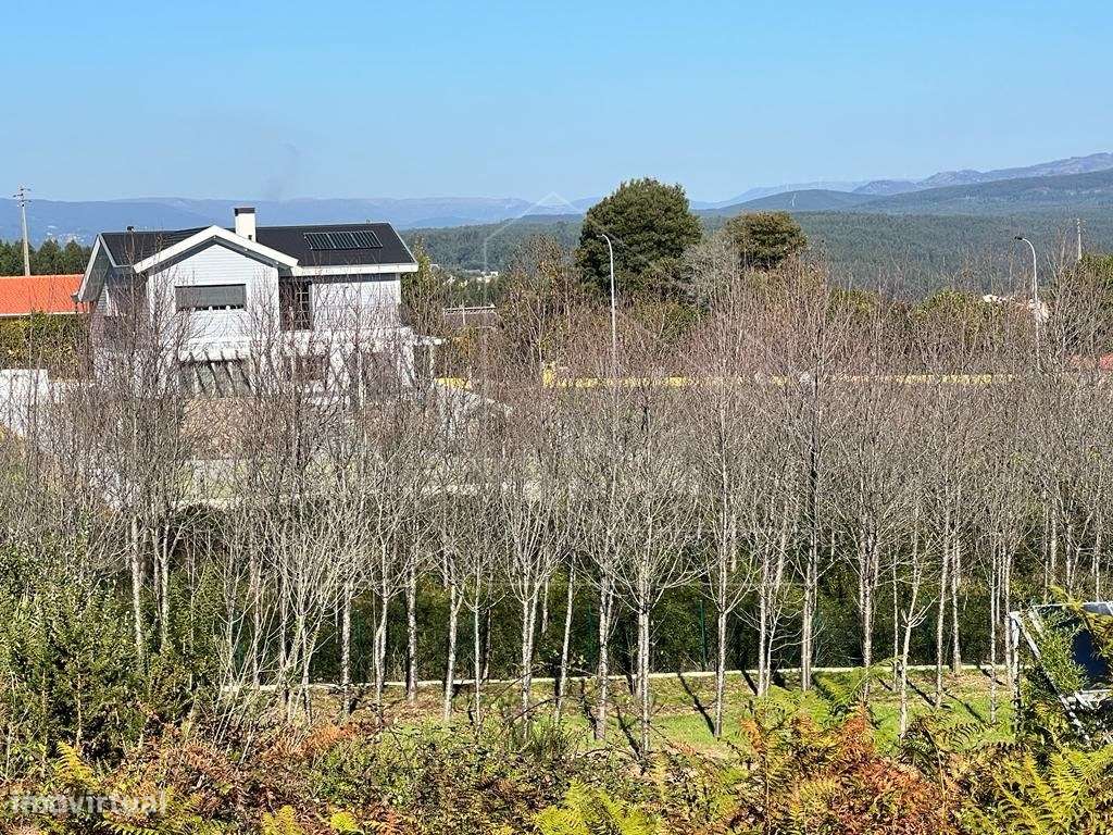 Lote para Moradia - Vale das Figueiras - Grande imagem: 4/7