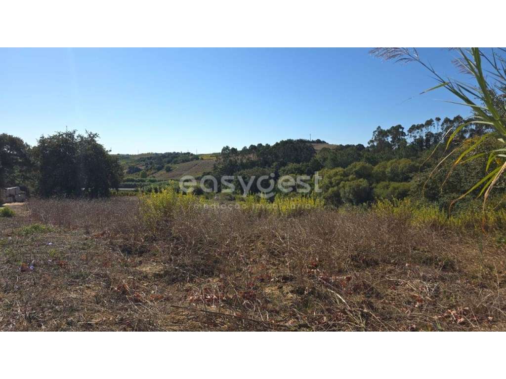 Terreno Rústico com 6200m2 e Casa de Madeira Licenciada - Região Oeste - Grande imagem: 5/34