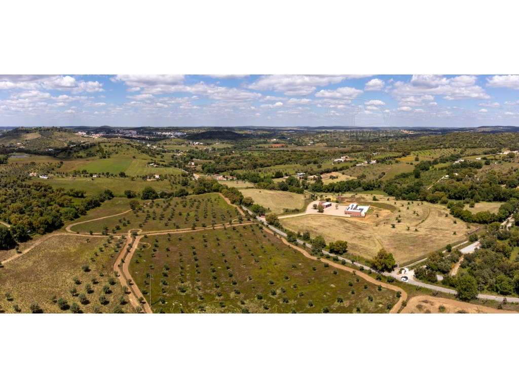 Propriedade contemporânea de 11,5 ha com duas residências independe...-31