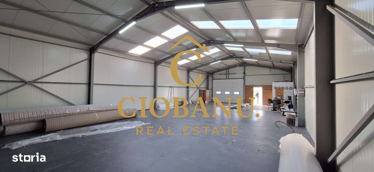 Hala de vanzare in Racarii de Jos-2