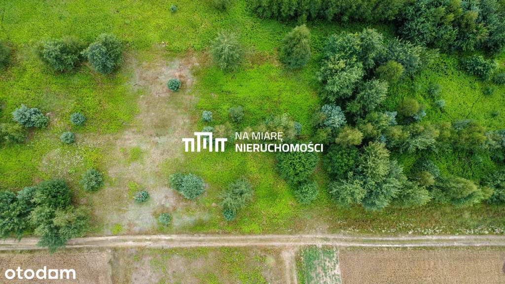 3 z 5 działek | Warunki zabudowy | Las - Pełny obrazek: 5/12