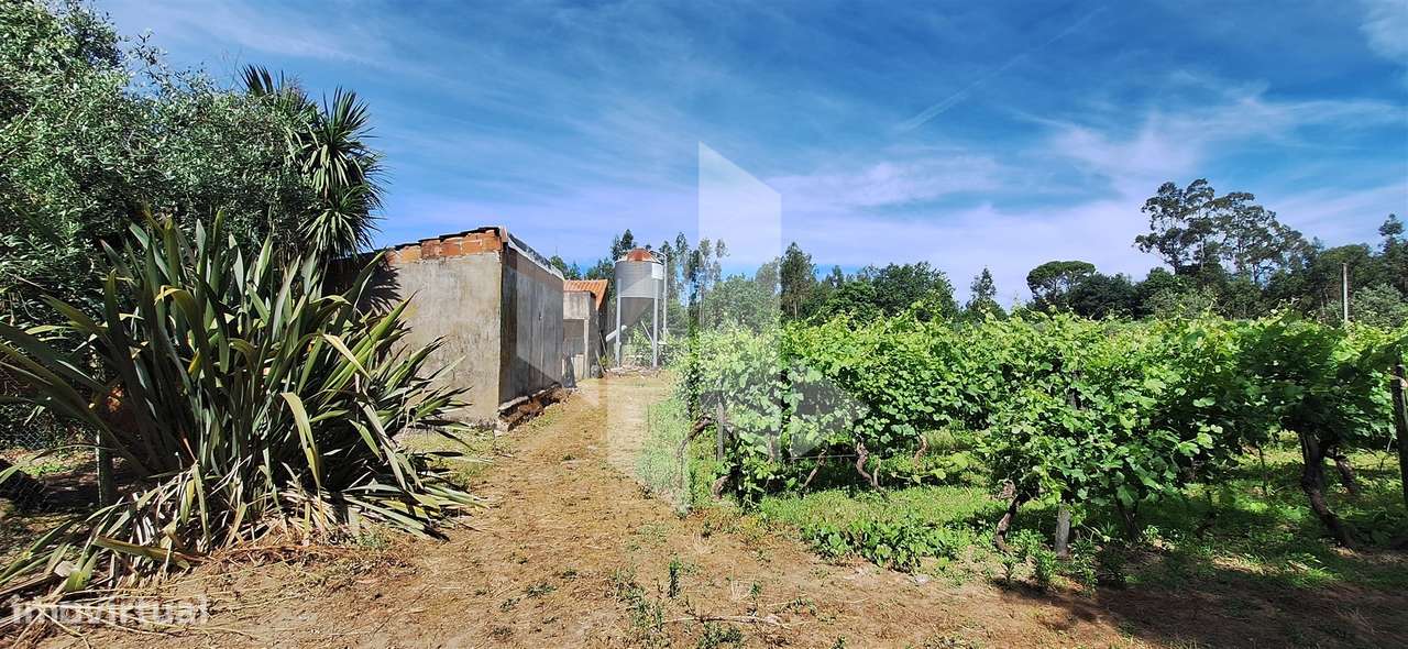 Quintinha  Venda em Lobão da Beira,Tondela-8