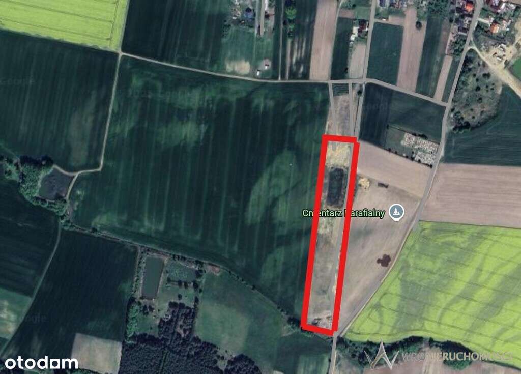 Nieczynna kopalnia piasku, okolice Milicza - Pełny obrazek: 5/5