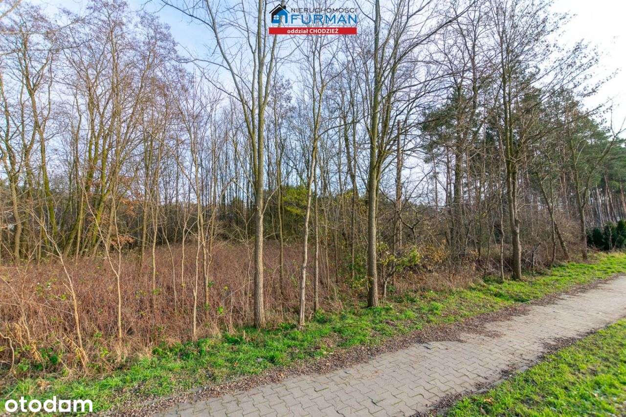 Działka, 879 m², Klotyldzin - Pełny obrazek: 4/5