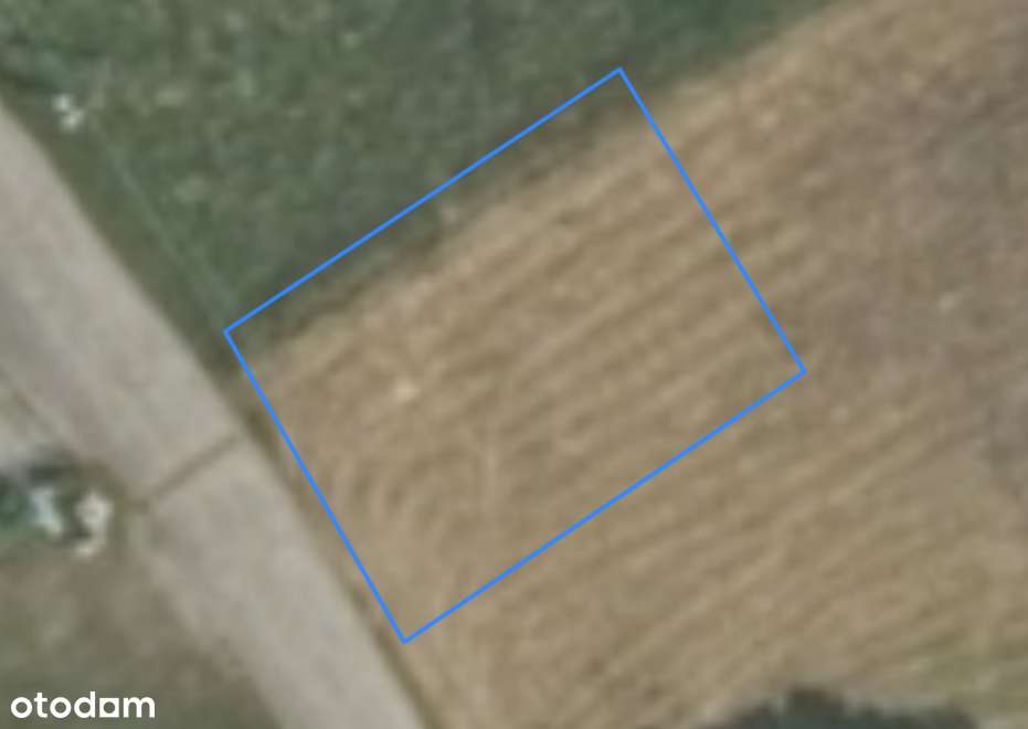 Na sprzedaż dwie działki | Miłoradzice | 80.000 zł - Pełny obrazek: 5/5