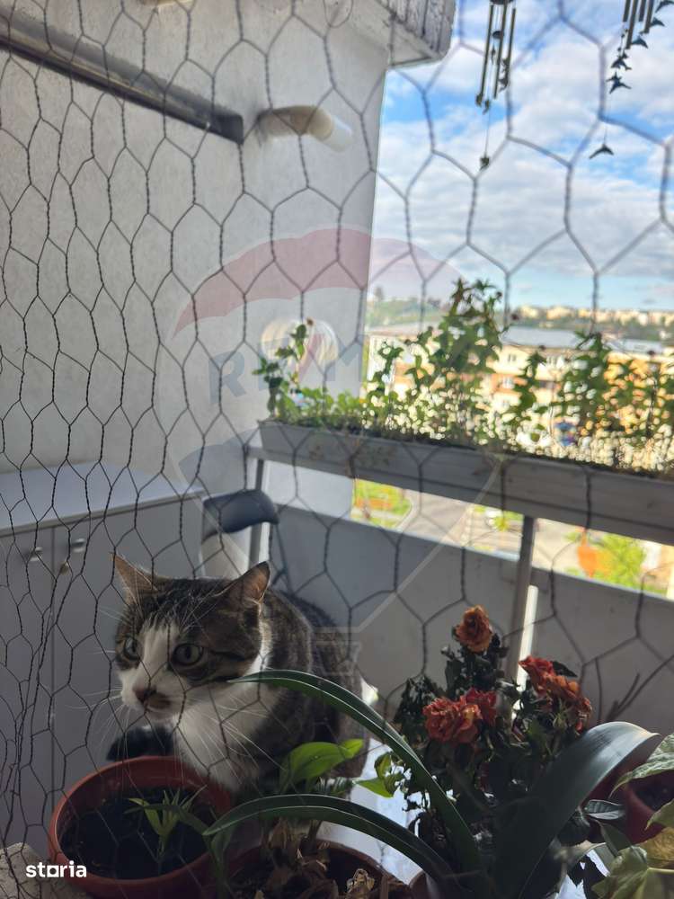 Apartament de lux, complet renovat, 3 camere – Vișoi 3, Câmpulung-13