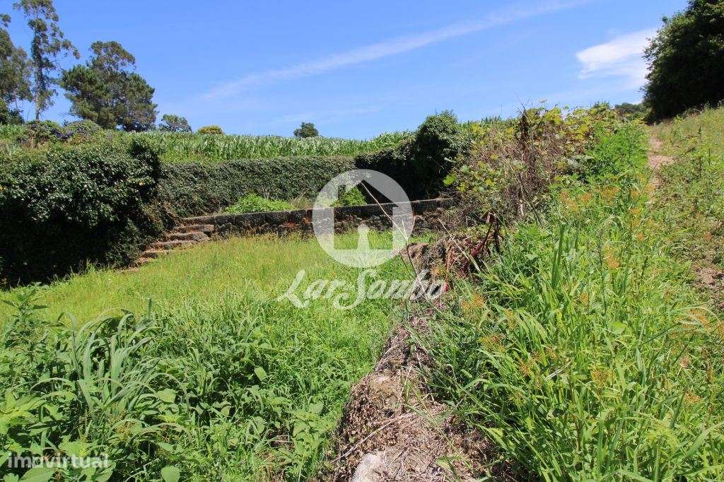 Terreno Agrícola c/21.000 m2 em Junqueira, Vila do Conde - Grande imagem: 5/6