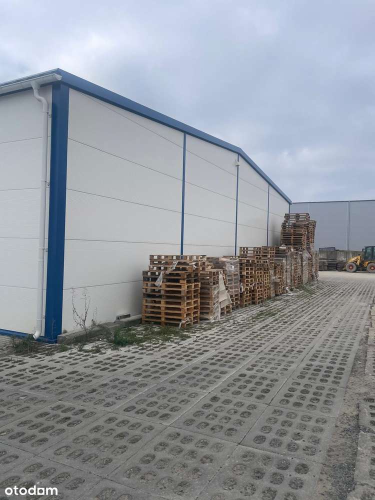 Wynajmę hale 840 m2 - Pełny obrazek: 4/8
