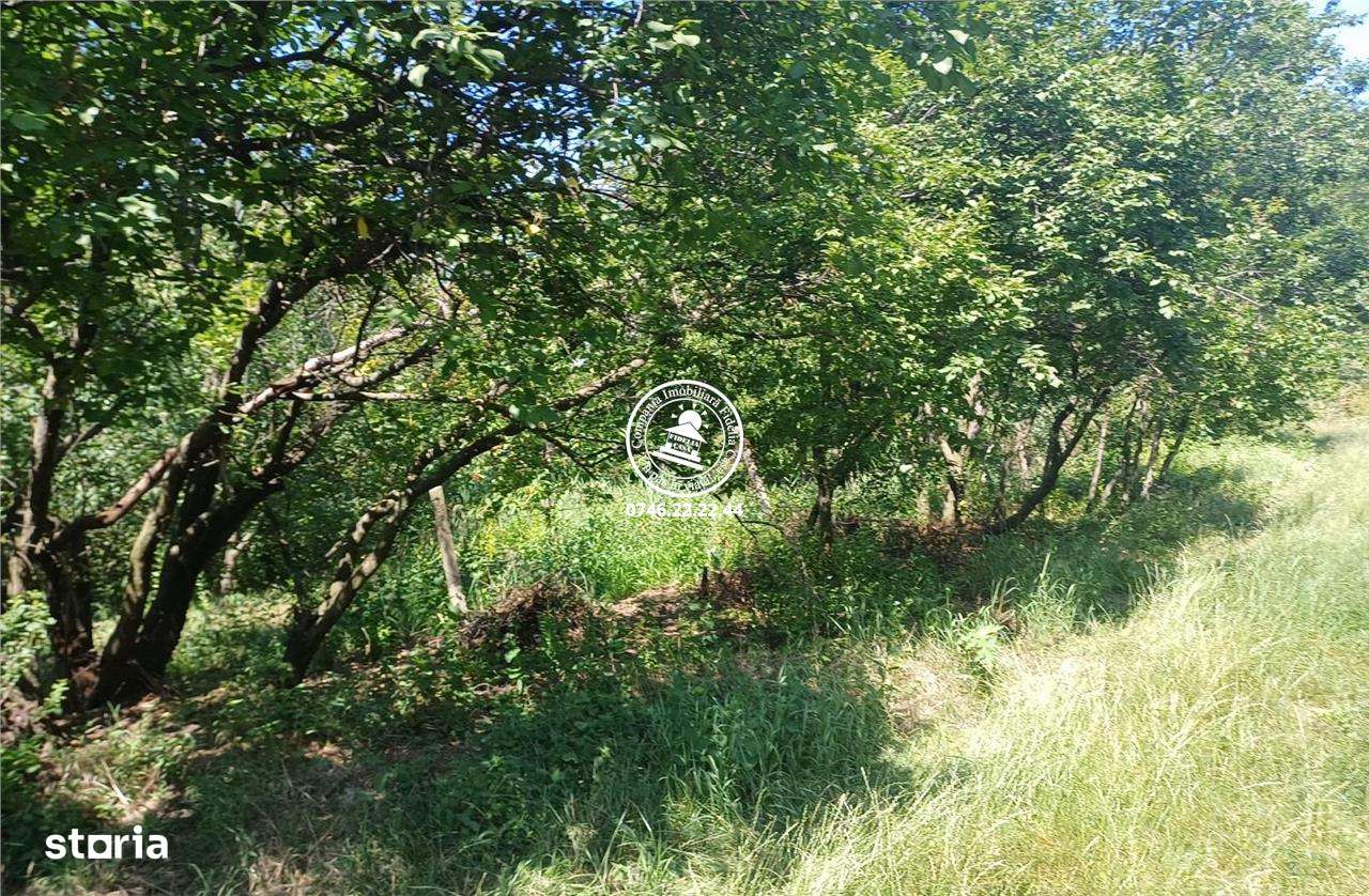 Teren pentru constructii case de vanzare Iasi, Copou - Imagine principală: 2/5