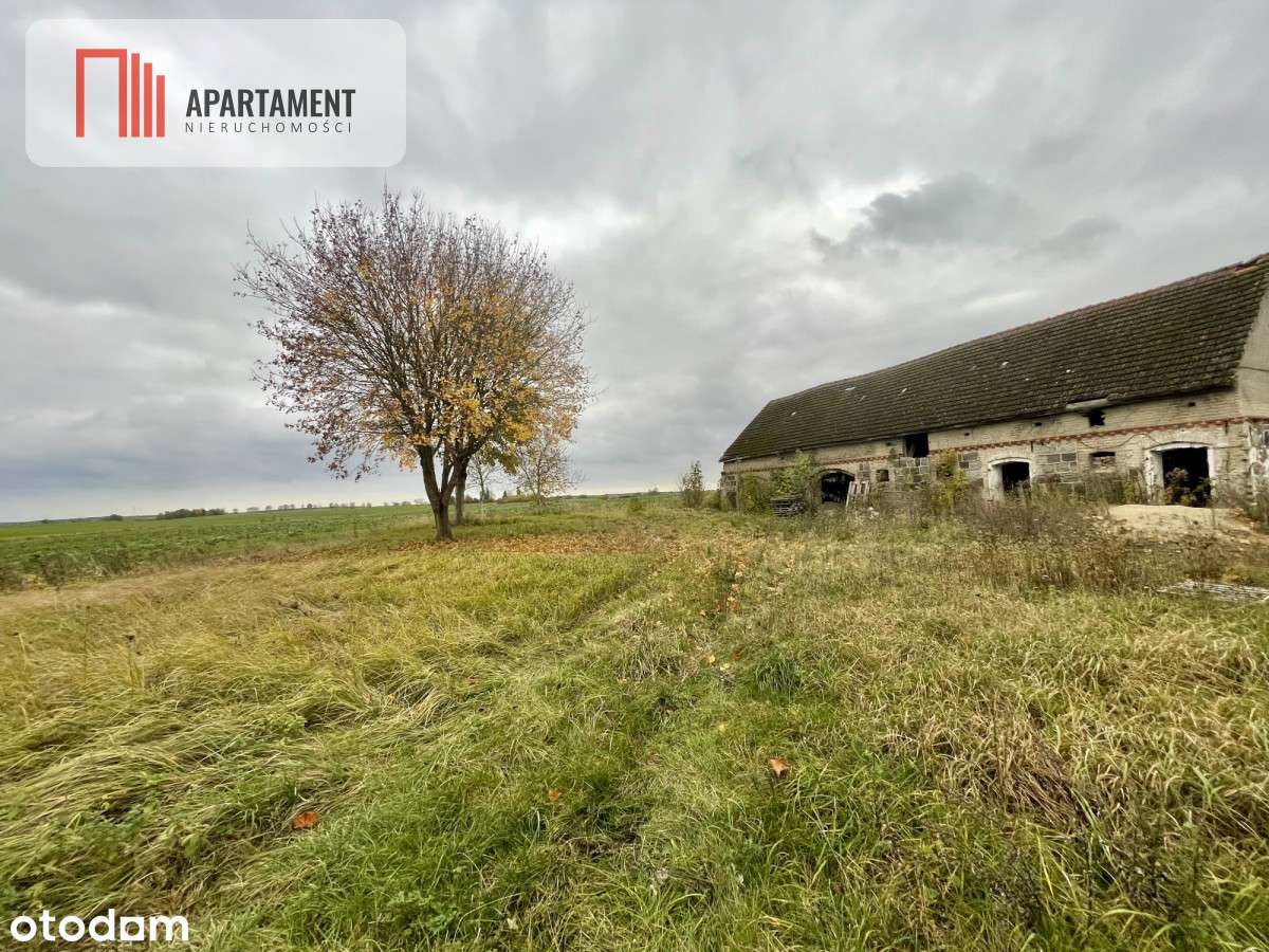 Klimatyczny dom z czerwonej cegły na wsi - Pełny obrazek: 5/9