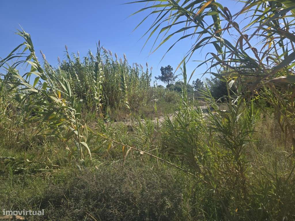 Terreno Rústico - Grande imagem: 4/5