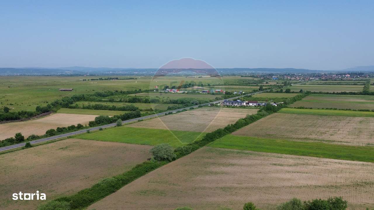 Teren Intravilan de Vanzare la Drum European sau Schimb cu Apartament - Imagine principală: 4/4