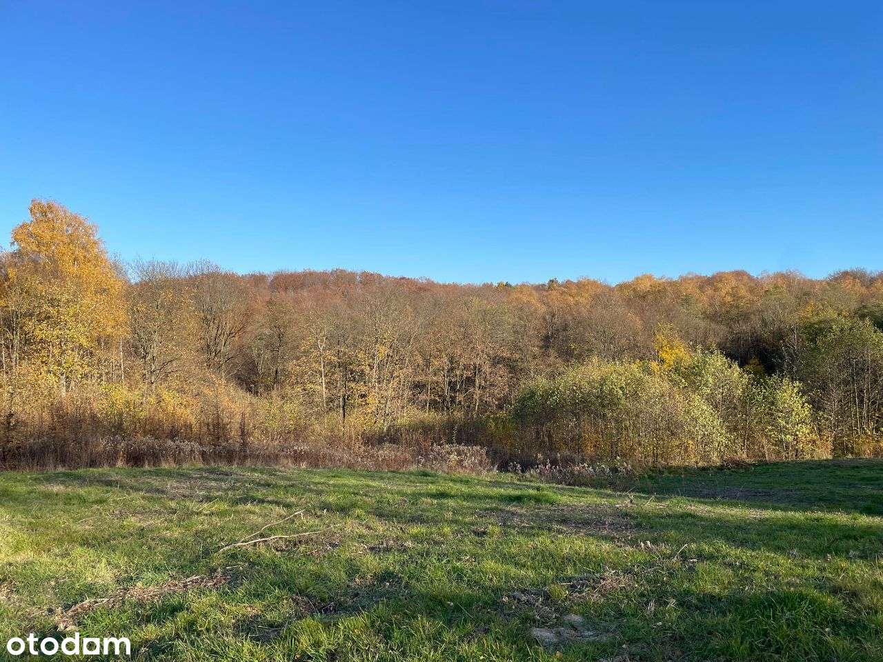 Działka o pow.1 ha - ul. Św.Marcina - Okazja!-11