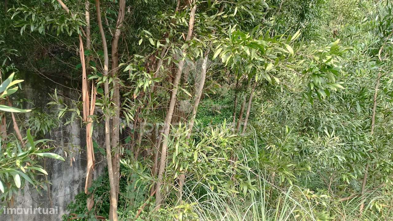 ? Terreno para o Seu Novo Lar, Junto ao Douro! ? - Grande imagem: 5/11